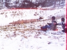 Me Sledding! Trust me that slope was STEEP!..I had a lotta fun that day and also tore up my jeans pretty badd..But who Cares! It`s Sleddin!
-800x600
