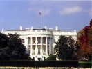 The Whitehouse(My dad took this one)
-800x600